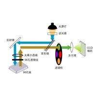 什么是熒光定量PCR、數字PCR？