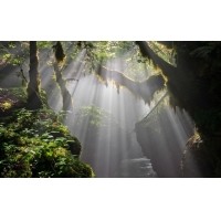 光的干涉、衍射、折射、反射、散射